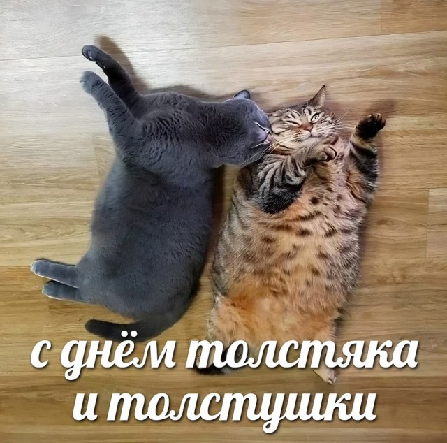 Так себе картинки 24.07.24