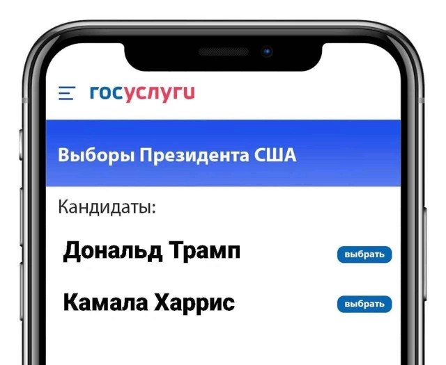 Демократические выборы в США