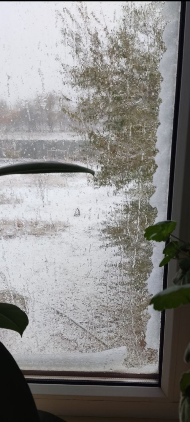 Ну вот и началась...