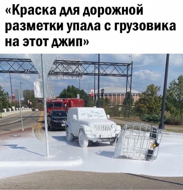 Так себе картинки 24.11.24