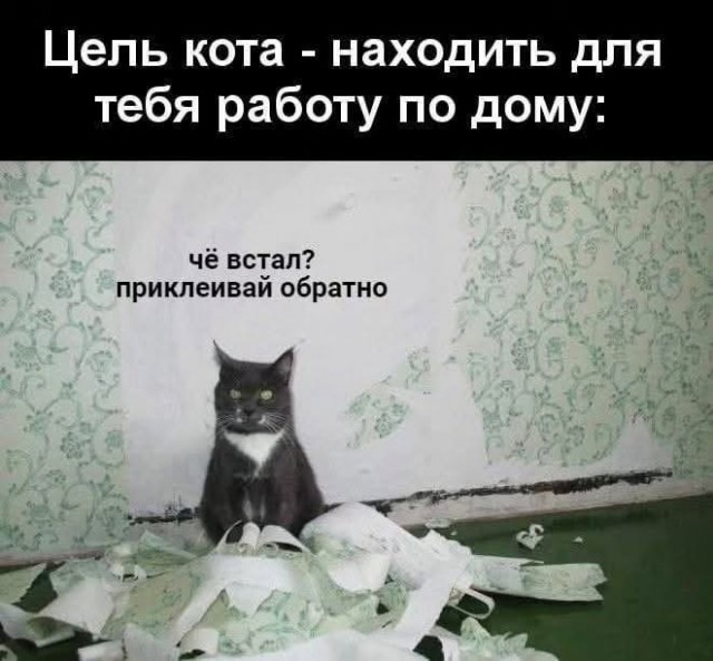 Завалялось тут случайно немного забавных картинок