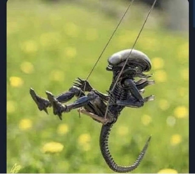 Прикольные и просто красивые картинки 21.02.2025