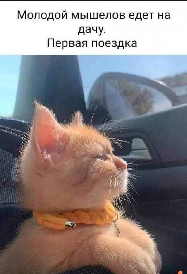 Так себе картинки 09.03.25