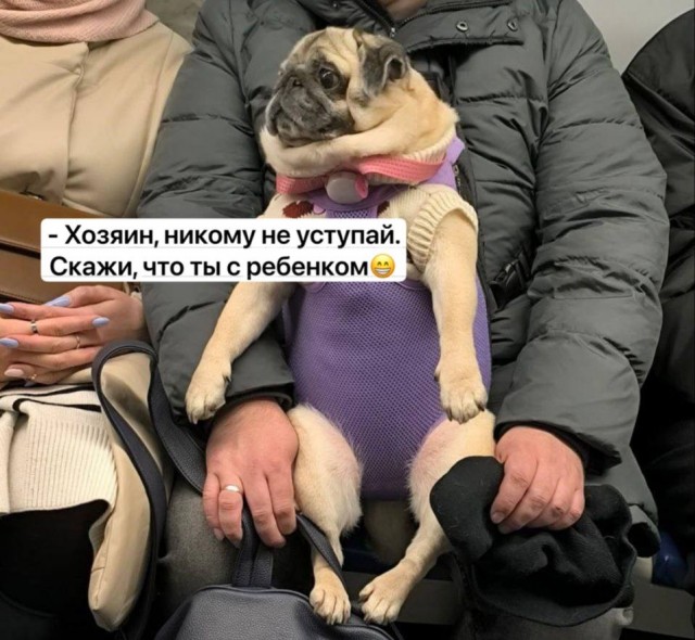 В Москве предложили ограничить время сидения в метро в час-пик, чтобы больше пассажиров успели посидеть