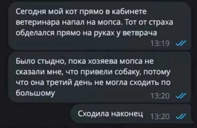Завалялось тут случайно немного забавных картинок