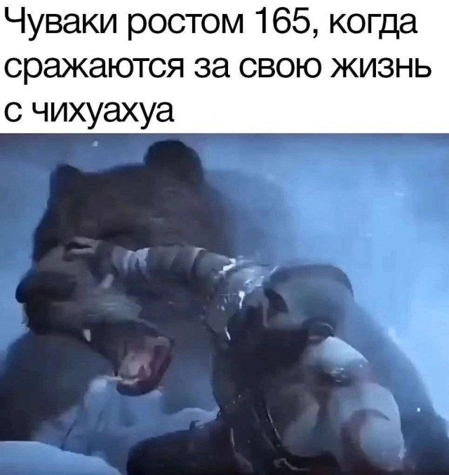 Так себе картинки 20.04.25