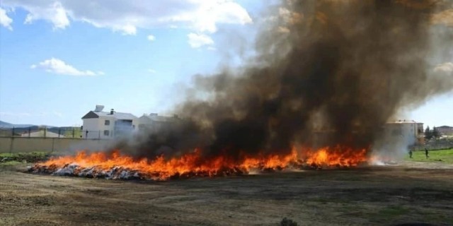 В Турции 25 тысяч человек случайно "накурились", когда полиция показательно сжигала 20 тысяч тонн марихуаны