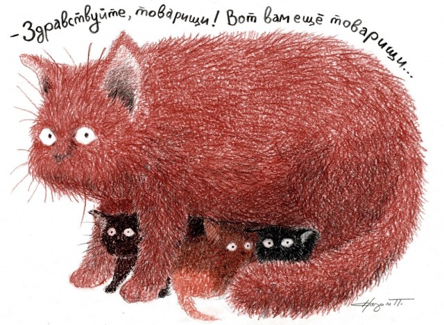У нас котенок!