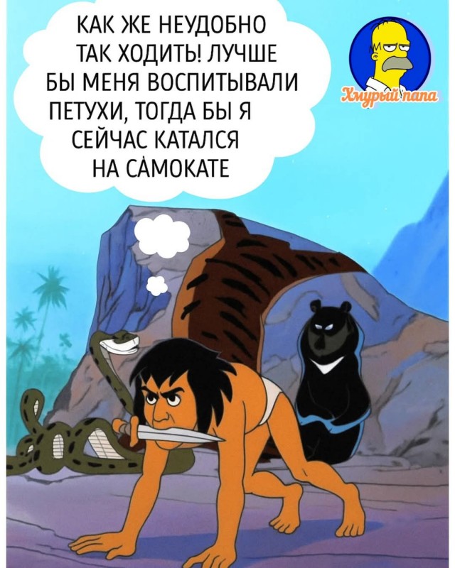 Так себе картинки 04.07.25