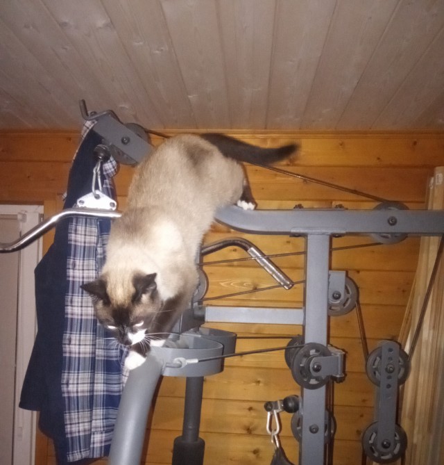 И Ворде не котовторник и уж тем более не собакочетверг, а так, алкопятница и усё... Нет, братья мои молодые-удалые, на этом не жизнь, ни запой не кончается, уж поверьте мсо, тем более пятница... Если-бы Робинзону желали добра- среда была-бы , а не пя
