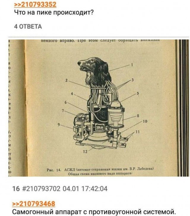 Давно не было....