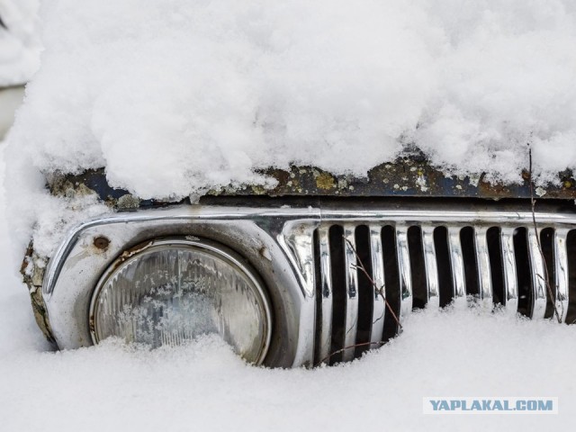 Синоптики назвали точную дату первого снега в Подмосковье, и это не суббота