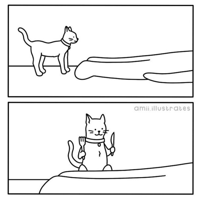 Котик потерялся
