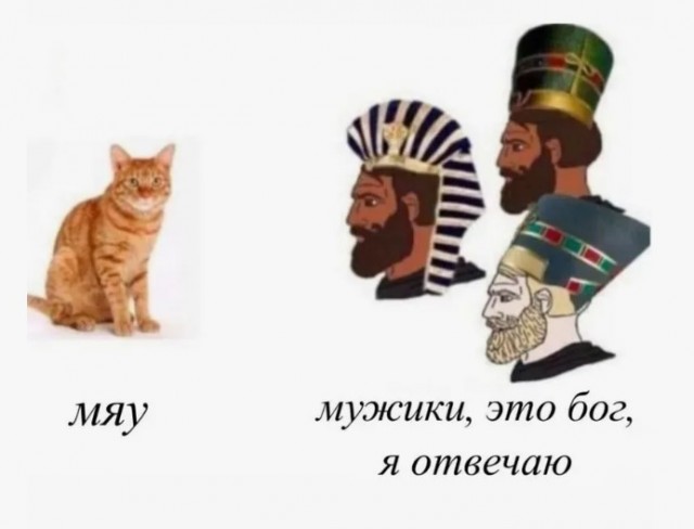 Попробуйте включить коту египетскую музыку