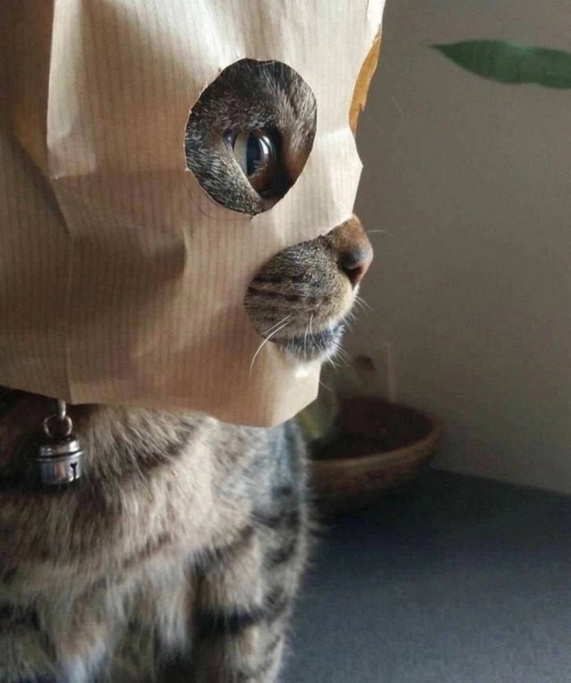 *зачёркнуто*