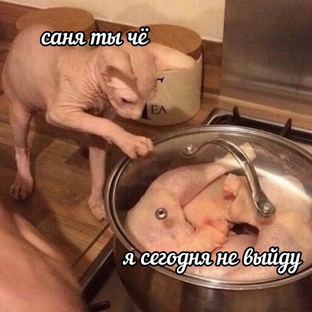 Среды картинки