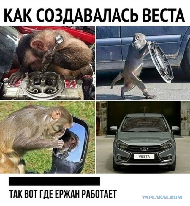 ЯП против ЛитБесов