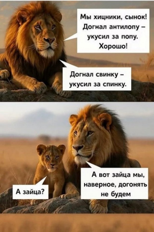 Запрещённый приём от барсика