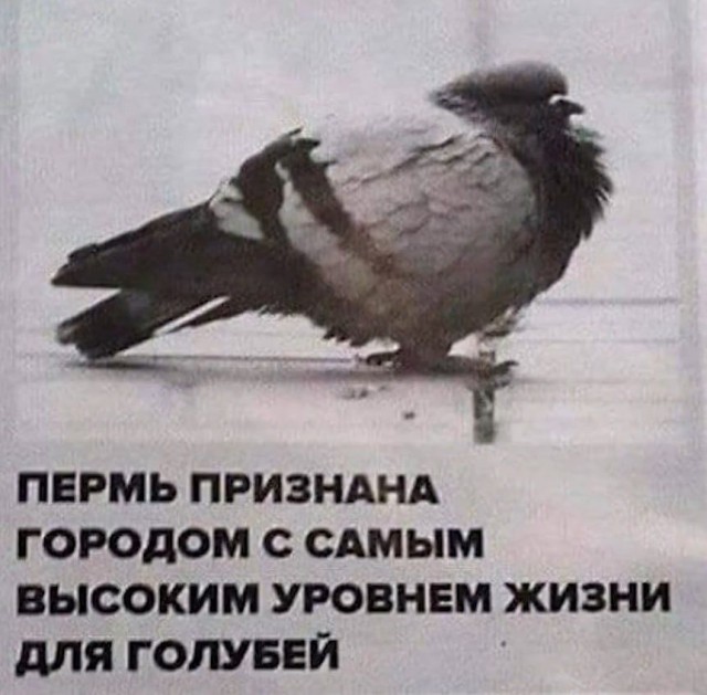 Так себе картинки 06.05.26