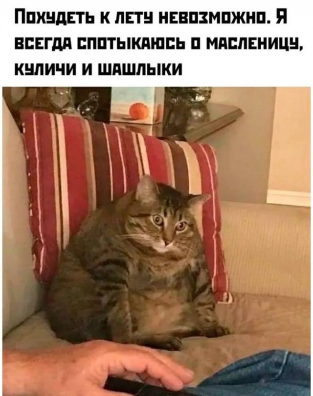 Картиночки, баянчики 26 мая
