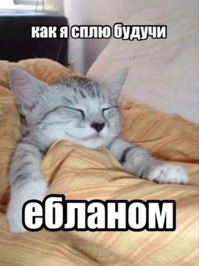 Пошлый и взрослый юмор #11
