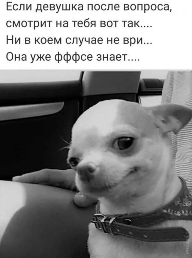 Веселые картинки в понедельник (29.06)