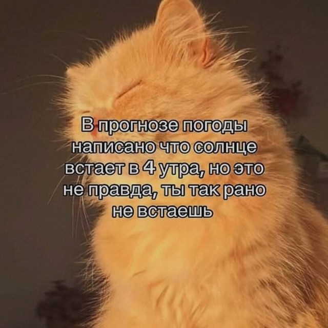 Немного картинок во вторник