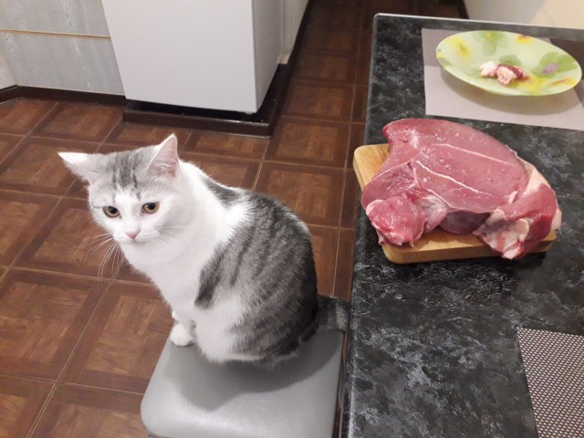 Ща я вас научу