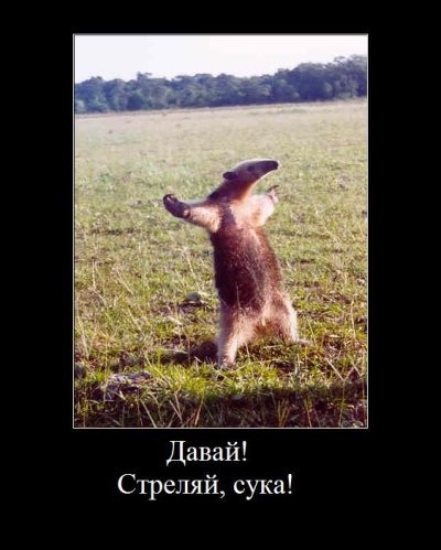 Опять демотиваторы!