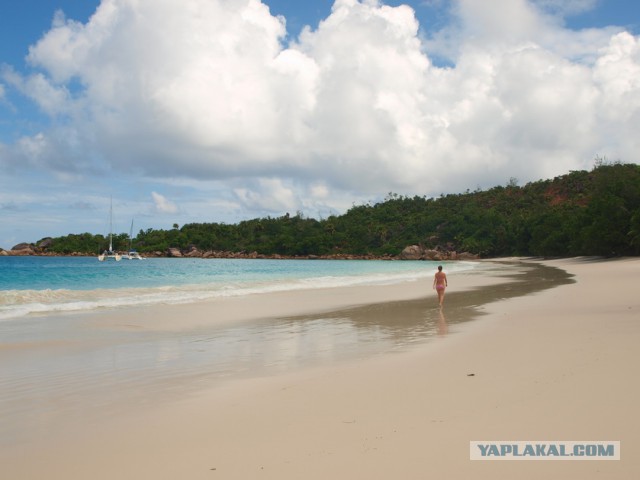 Как я съездил на Сейшелы