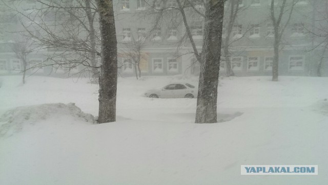 А тем временем в Хабаровске