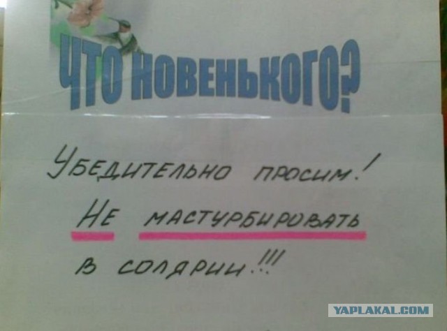 Прикольные картинки.