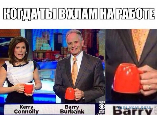 Весёлое из сети