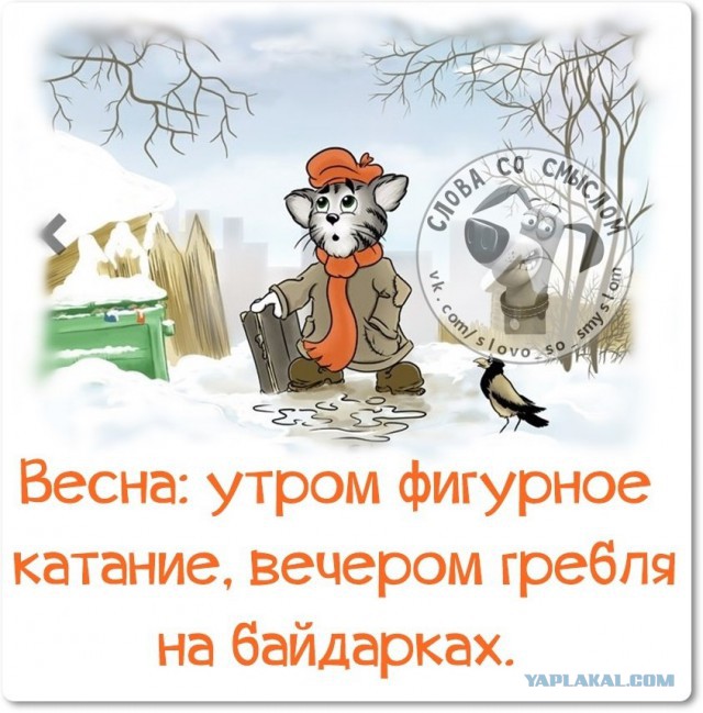 Веселые жизненные наблюдения из Вредного журнала