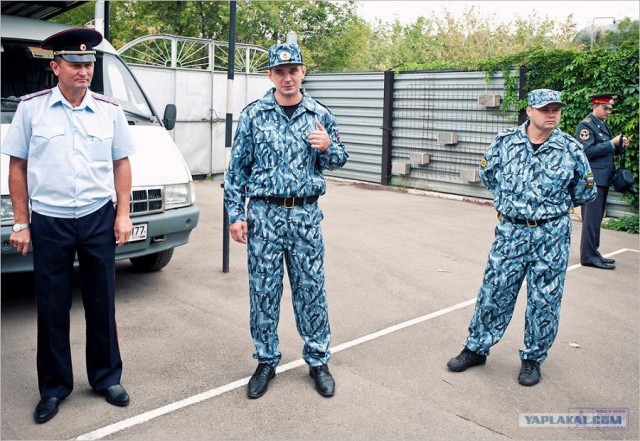 Центр кинологической службы Упр-ния на транспорте