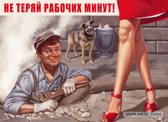 Мешанина прикольных картинок из сети
