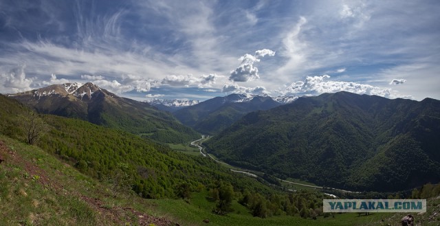 Это Россия, детка