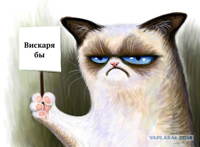 Камни в почках