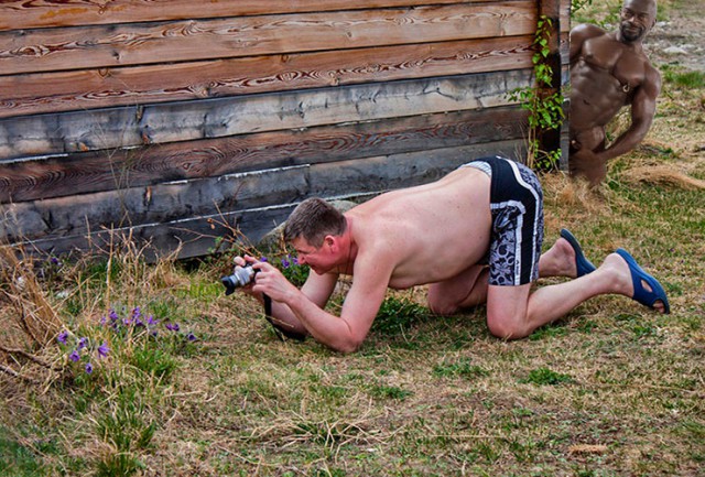 Жаба: Фотолюбитель