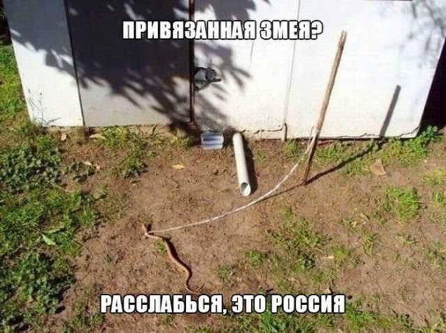 Картинки с надписями