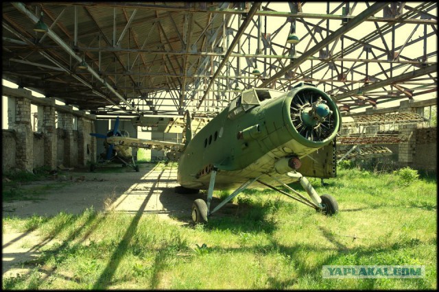 Ан-2: биплан, который умеет летать хвостом вперед