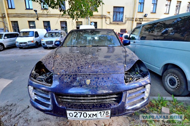 Московские рабы автомобилей