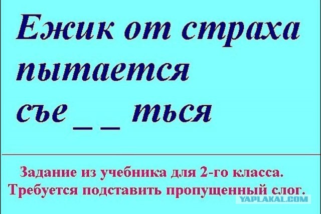 Смешные комментарии из социальных сетей 05.08.2016