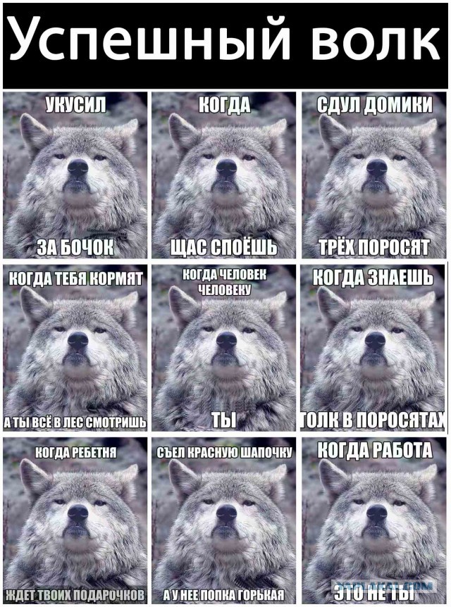 Картинки из сети