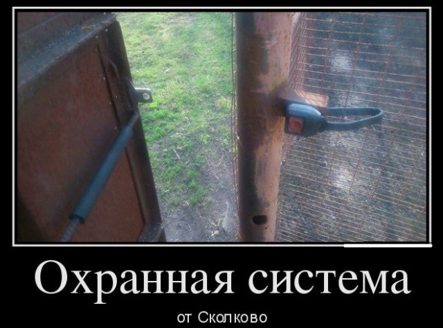 Никогда, слышите, никогда не пытайтесь запереть медоеда!