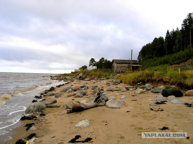 Рыбалка на Белом море