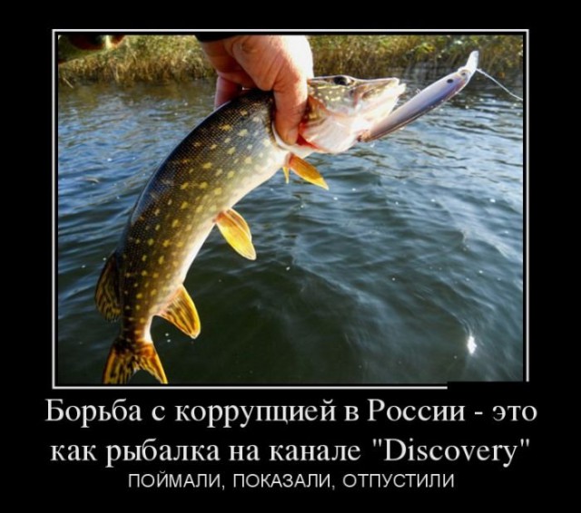Всячина. Картинки