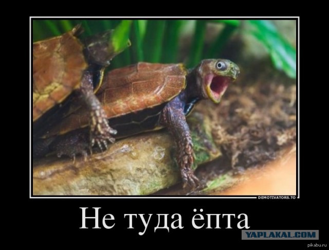 Тот момент, когда ты понимаешь, что она не сидит на диванчике