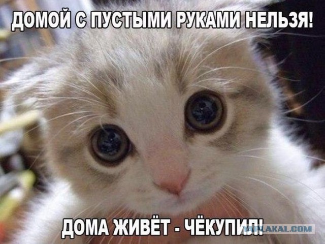 Весёлые картинки 16.12.2016.