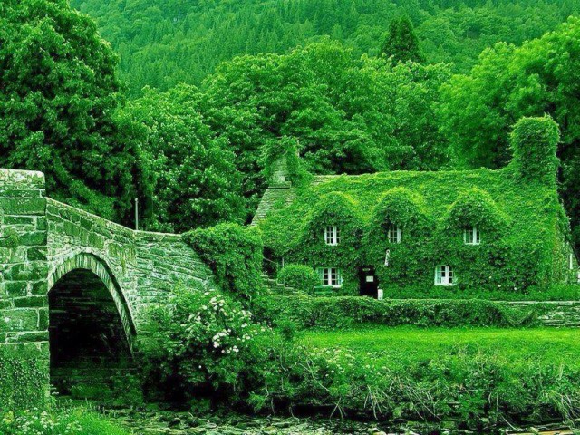 Моменты, запечатлённые на фото и просто позитив 5